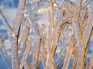 After the ice storm
