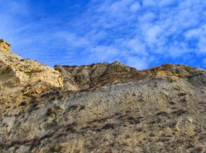 IMG_2349 Theodore Roosevelt Park