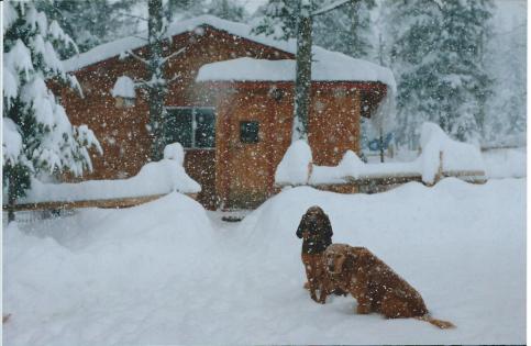 Back home at Hidaway Ridge near Plains.  Let it Snow!