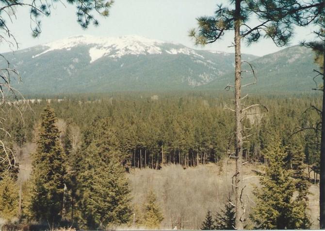 View of Mt. Baldy from the property