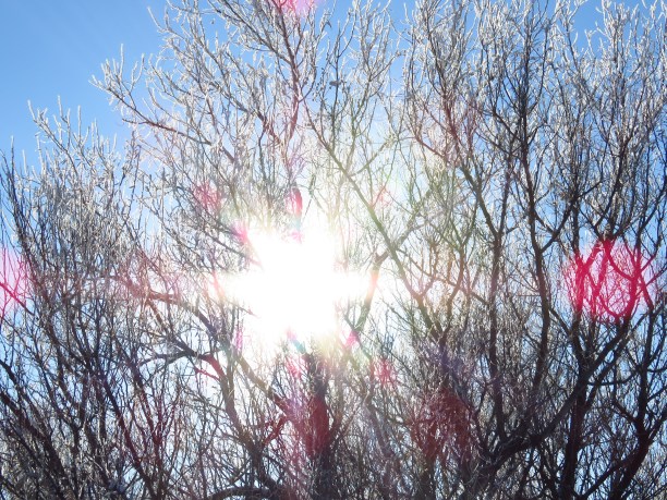 Jesus is the light of the world